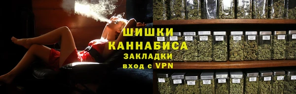 прущие грибы Балахна