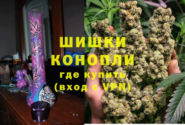прущие грибы Балахна