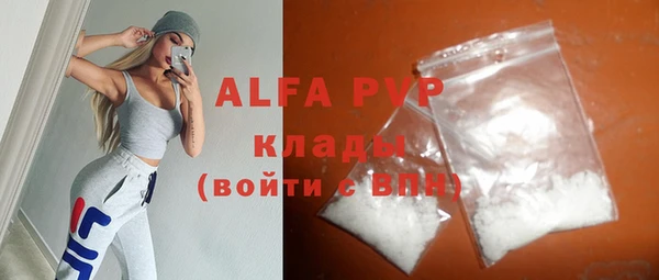 прущие грибы Балахна