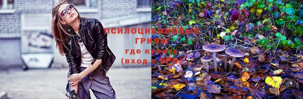 трава Баксан