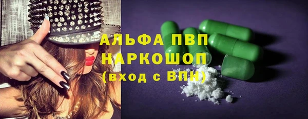 прущие грибы Балахна