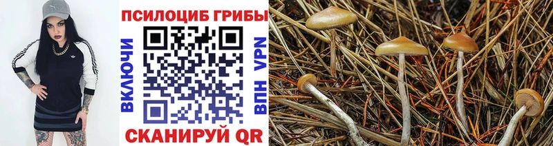Псилоцибиновые грибы мицелий Калуга